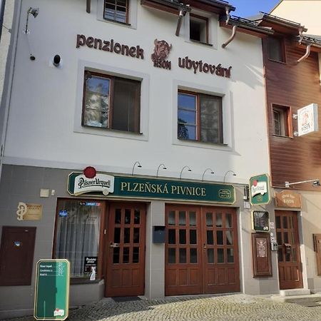 Ubytovani Nad Bisonem Hlinsko Buitenkant foto