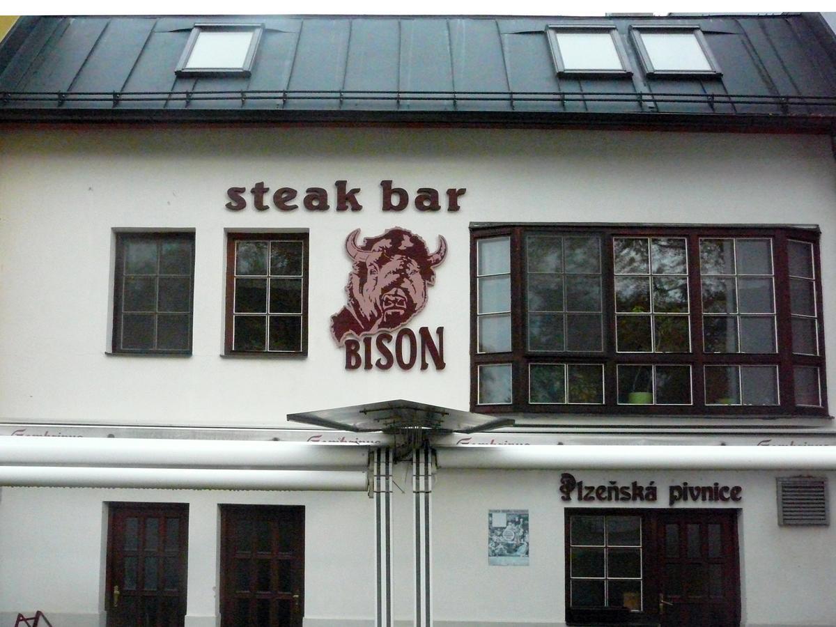 Ubytovani Nad Bisonem Hlinsko Buitenkant foto